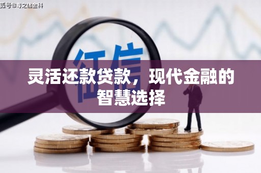 雨城灵活还款贷款，现代金融的智慧选择