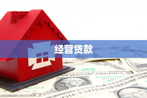 雨城经营贷款