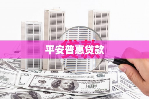 雨城平安普惠贷款
