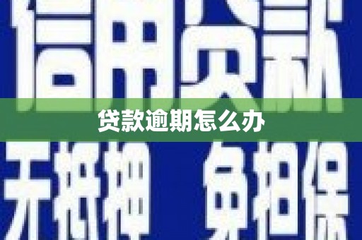 雨城贷款逾期怎么办