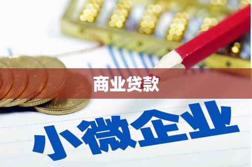雨城商业贷款