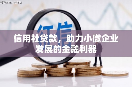 雨城信用社贷款，助力小微企业发展的金融利器