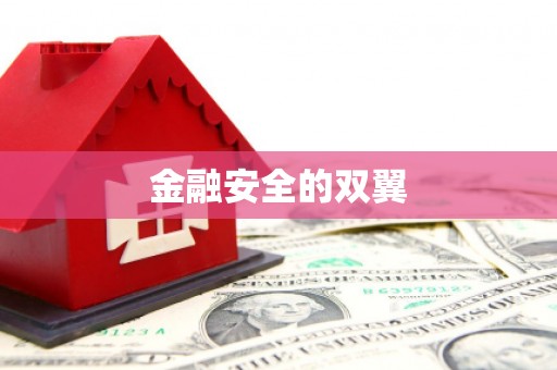 雨城金融安全的双翼