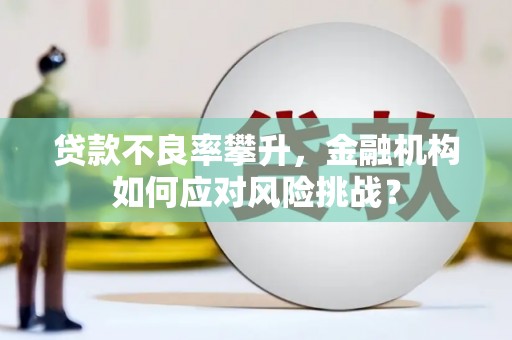 雨城贷款不良率攀升，金融机构如何应对风险挑战？