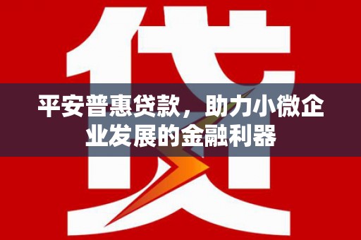 雨城平安普惠贷款，助力小微企业发展的金融利器