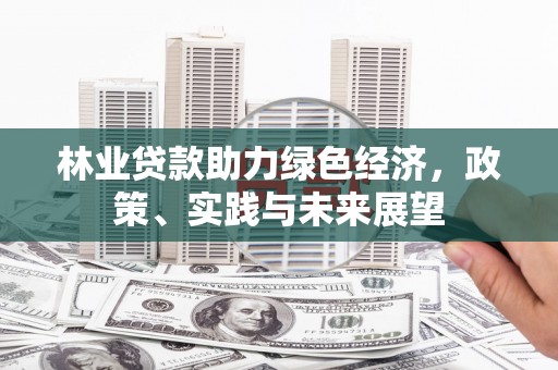 雨城林业贷款助力绿色经济，政策、实践与未来展望