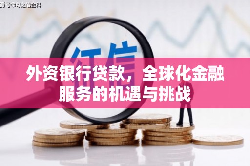 雨城外资银行贷款，全球化金融服务的机遇与挑战