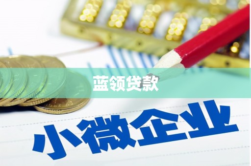 雨城蓝领贷款