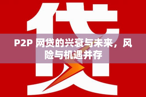 雨城P2P 网贷的兴衰与未来，风险与机遇并存