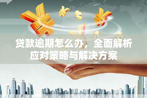 雨城贷款逾期怎么办，全面解析应对策略与解决方案