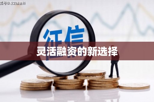 雨城灵活融资的新选择