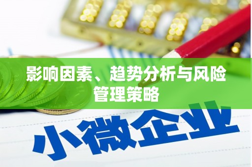 雨城影响因素、趋势分析与风险管理策略