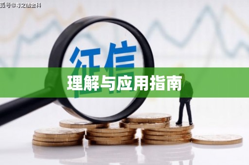 雨城理解与应用指南